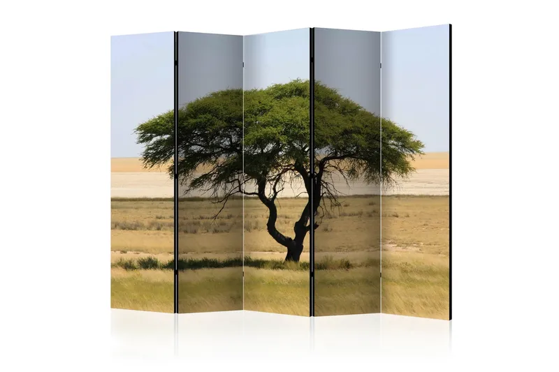 Tilanjakaja Etosha National Park, Namibia II 225x172, Artgeist sp. z o. o.