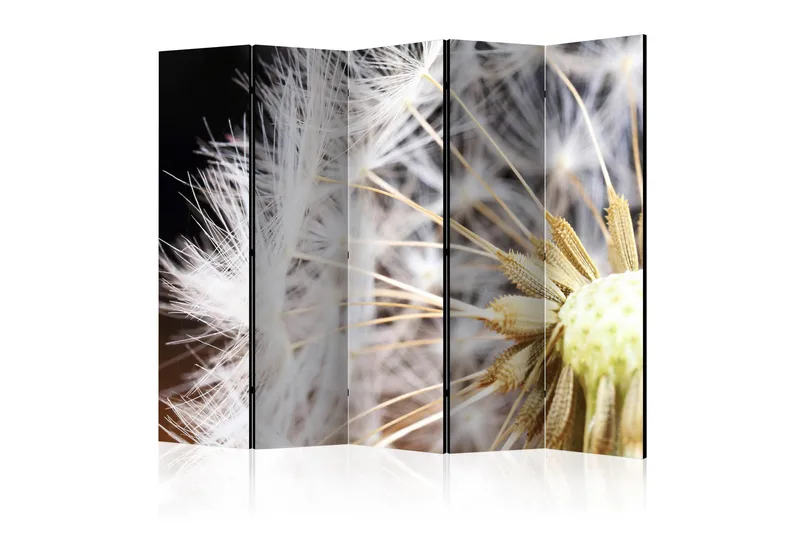 Tilanjakaja Fluffy Dandelion II 225x172, Artgeist sp. z o. o.