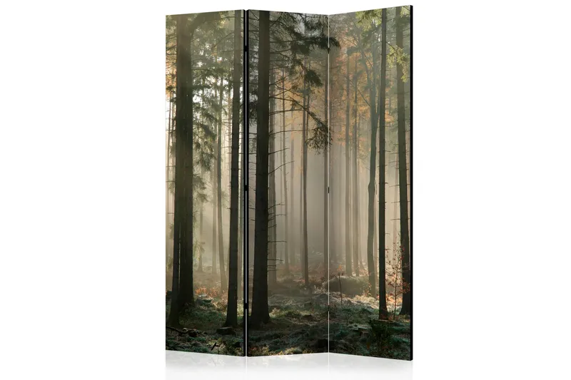 Tilanjakaja Foggy November Morning, Artgeist sp. z o. o.