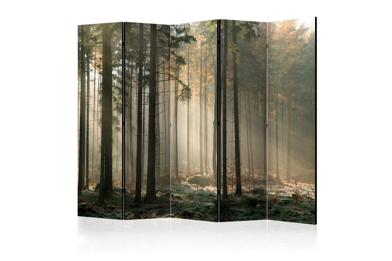 Tilanjakaja Foggy November Morning II, Artgeist sp. z o. o.