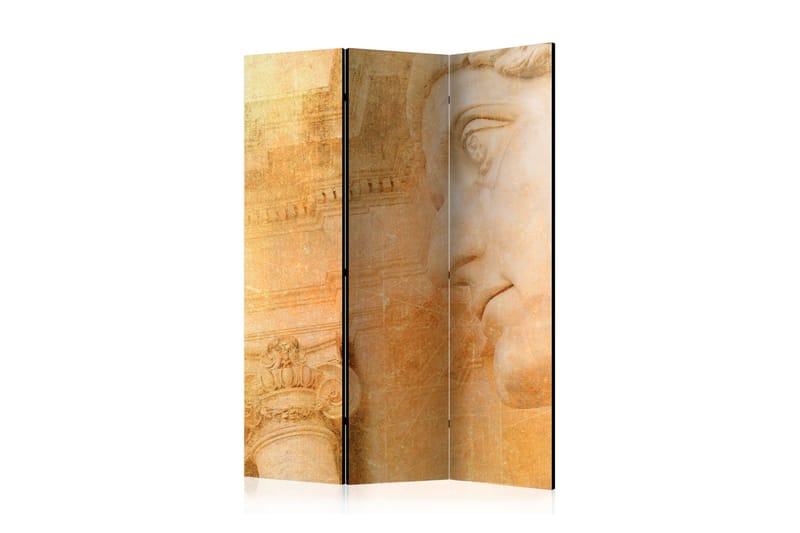Tilanjakaja Greek God 135x172 - Artgeist sp. z o. o. - Sisustustuotteet - Tilanjakaja & sermi