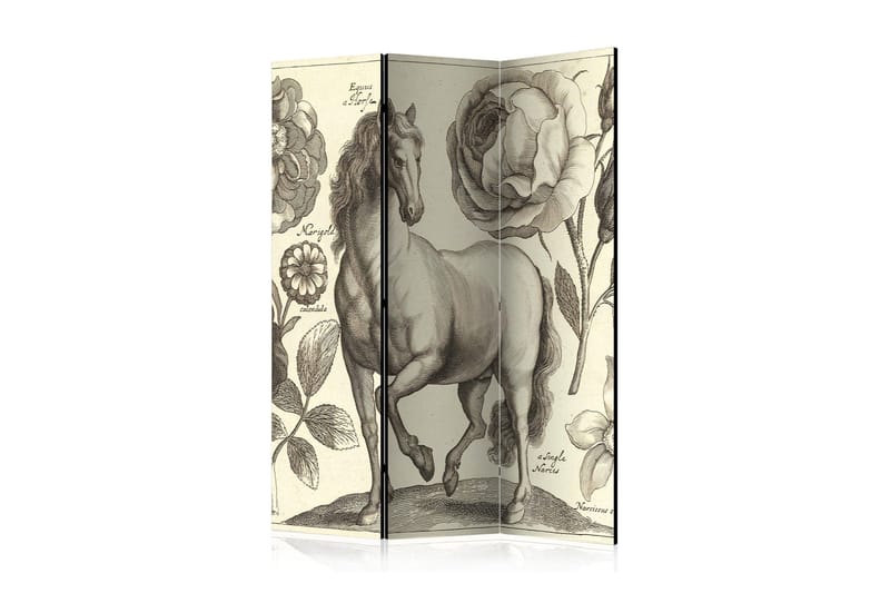 Tilanjakaja Horse 135x172, Artgeist sp. z o. o.
