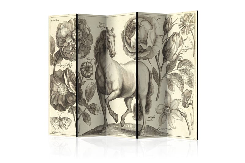 Tilanjakaja Horse 225x172, Artgeist sp. z o. o.