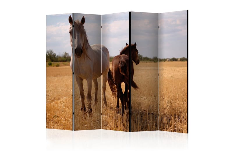 Tilanjakaja Horse and Foal II 225x172, Artgeist sp. z o. o.