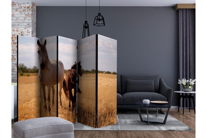 Tilanjakaja Horse and Foal II 225x172 - Artgeist sp. z o. o. - Sisustustuotteet - Tilanjakaja & sermi