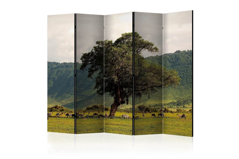 Tilanjakaja In a crater of Ngoro ngoro II 225x172, Artgeist sp. z o. o.