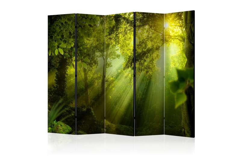 Tilanjakaja In a Secret Forest II II 225x172 - Artgeist sp. z o. o. - Sisustustuotteet - Tilanjakaja & sermi