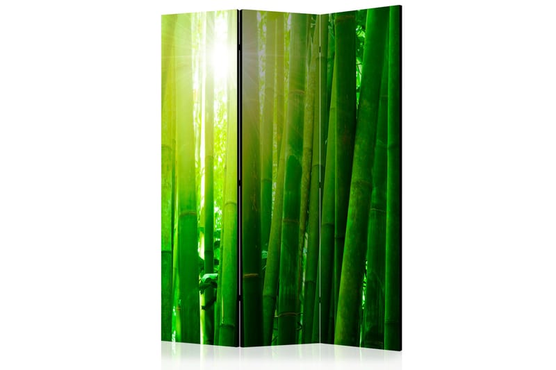 Tilanjakaja Kadira 135x172 cm - Artgeist sp. z o. o. - Sisustustuotteet - Tilanjakaja & sermi