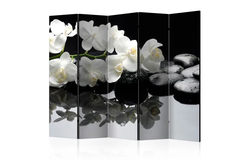 Tilanjakaja Kadira 225x172, Artgeist sp. z o. o.