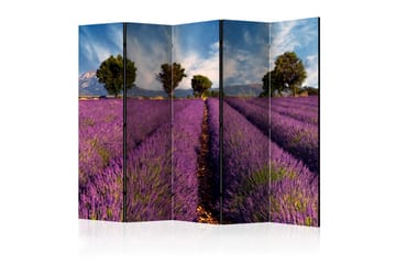 Tilanjakaja Lavender Field in Provence, France II - Artgeist sp. z o. o. - Sisustustuotteet - Tilanjakaja & sermi