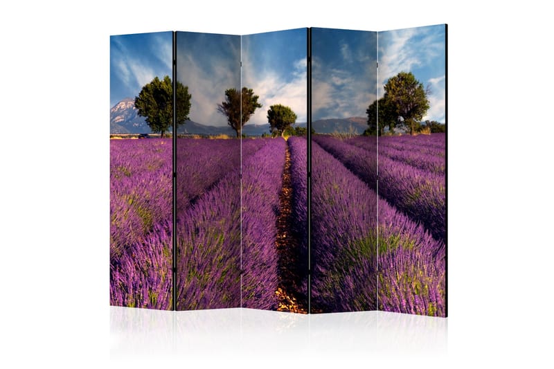 Tilanjakaja Lavender Field in Provence, France II - Artgeist sp. z o. o. - Sisustustuotteet - Tilanjakaja & sermi