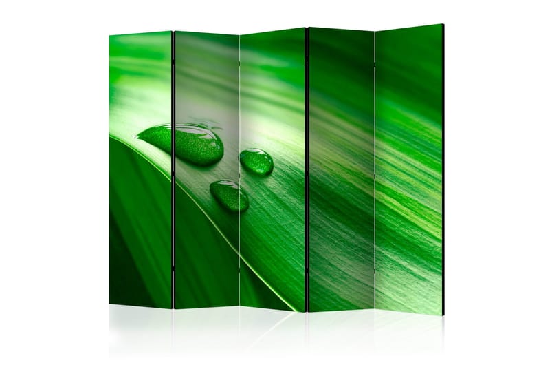 Tilanjakaja Leaf and three drops of water II 225x172, Artgeist sp. z o. o.