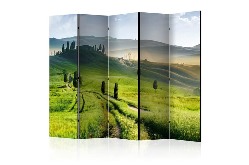 Tilanjakaja Morning in the countryside II 225x172, Artgeist sp. z o. o.