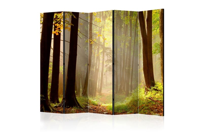 Tilanjakaja Mysterious forest path II 225x172, Artgeist sp. z o. o.