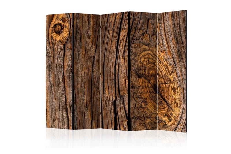 Tilanjakaja Old Tree II 225x172, Artgeist sp. z o. o.