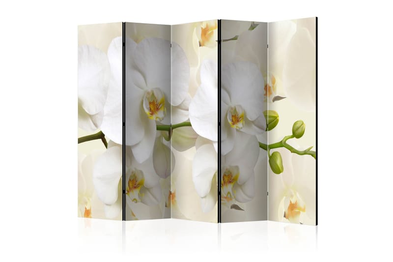 Tilanjakaja Orchid Branch II, Artgeist sp. z o. o.