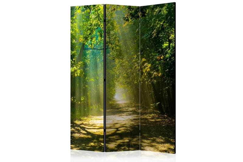 Tilanjakaja Road In Sunlight 135x172, Artgeist sp. z o. o.