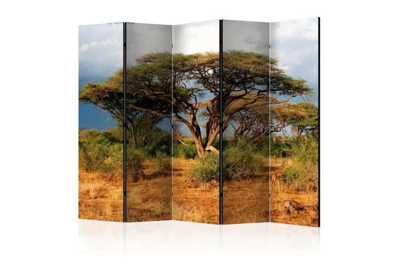 Tilanjakaja Samburu National Reserve, Kenya II 225x172, Artgeist sp. z o. o.