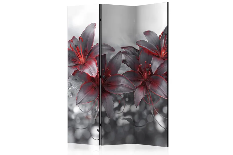 Tilanjakaja Shadow Of Passion 135x172, Artgeist sp. z o. o.