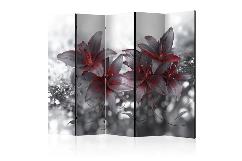 Tilanjakaja Shadow Of Passion 225x172, Artgeist sp. z o. o.