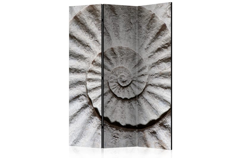 Tilanjakaja Shell 135x172 - Artgeist sp. z o. o. - Sisustustuotteet - Tilanjakaja & sermi
