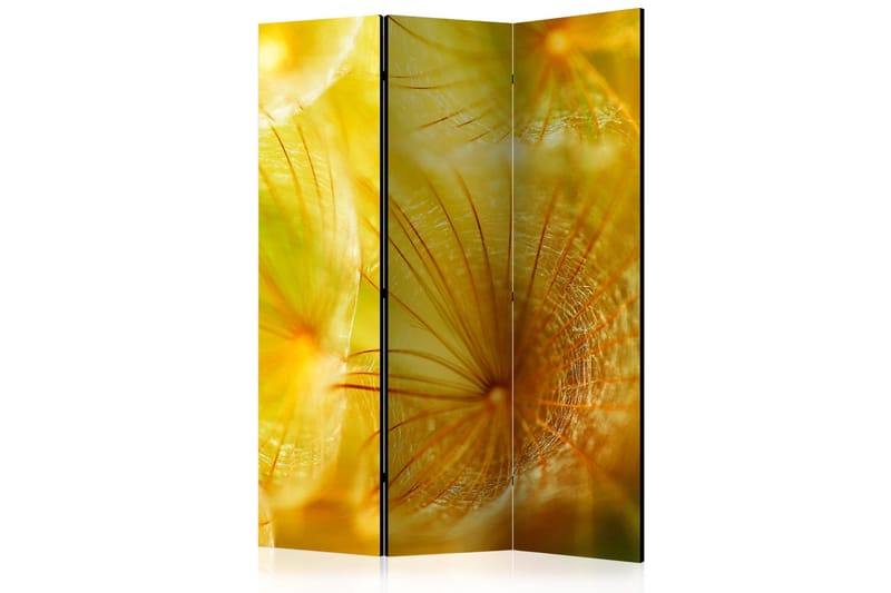 Tilanjakaja Soft dandelion flower 135x172, Artgeist sp. z o. o.