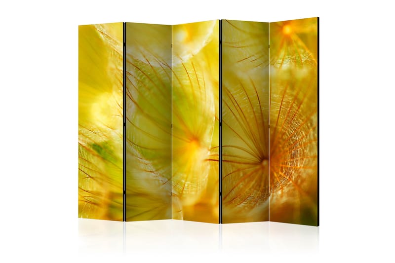 Tilanjakaja Soft dandelion flower II 225x172 - Artgeist sp. z o. o. - Sisustustuotteet - Tilanjakaja & sermi
