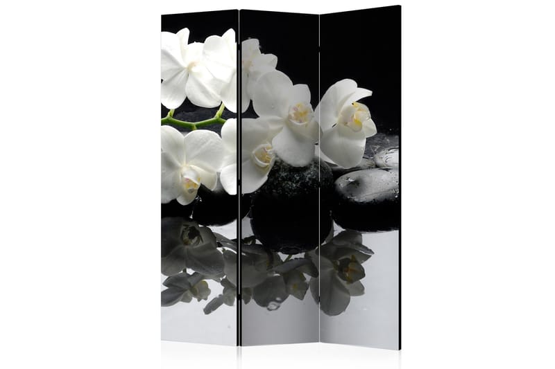 Tilanjakaja Spa, Stones and Orchid, Artgeist sp. z o. o.