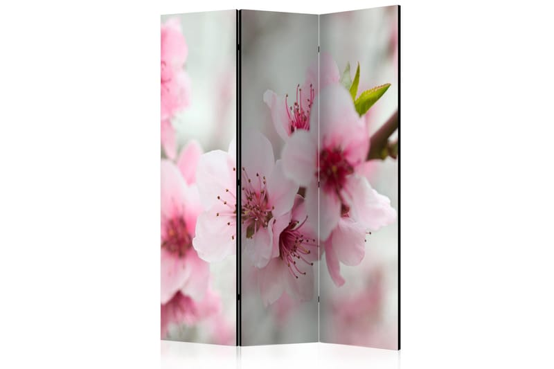 Tilanjakaja Spring, blooming tree - pink flowers 135x172, Artgeist sp. z o. o.