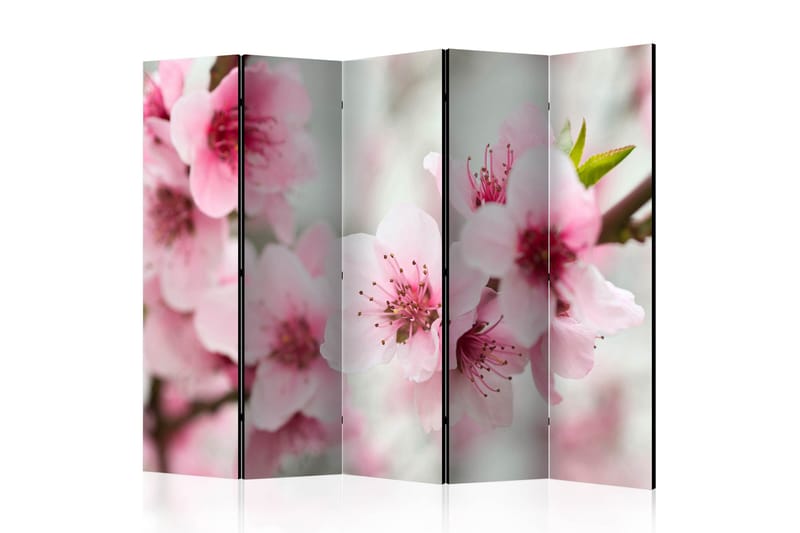Tilanjakaja Spring, blooming tree - pink flowers II 225x172, Artgeist sp. z o. o.