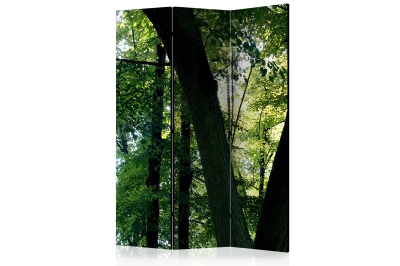 Tilanjakaja Spring in the Park 135x172, Artgeist sp. z o. o.