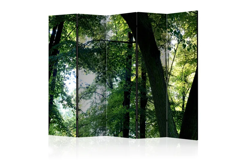 Tilanjakaja Spring in the Park II 225x172, Artgeist sp. z o. o.