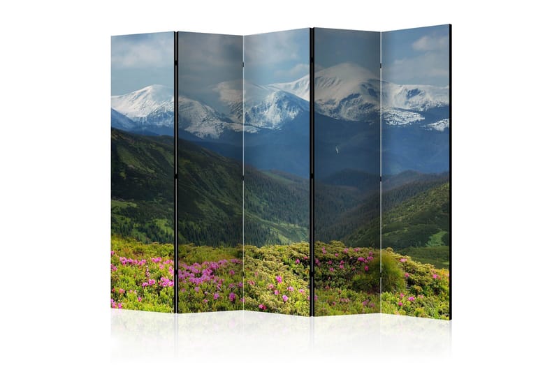 Tilanjakaja Spring mountain landscape II 225x172, Artgeist sp. z o. o.