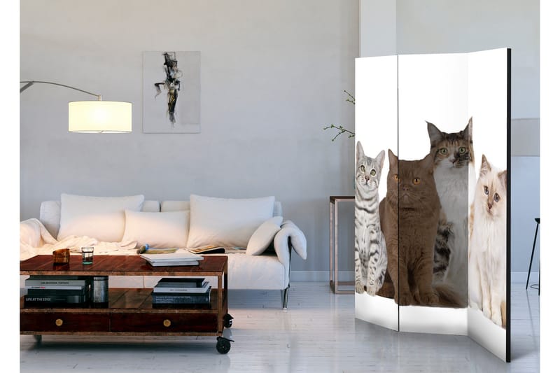 Tilanjakaja Sweet Cats 135x172 - Artgeist sp. z o. o. - Sisustustuotteet - Tilanjakaja & sermi