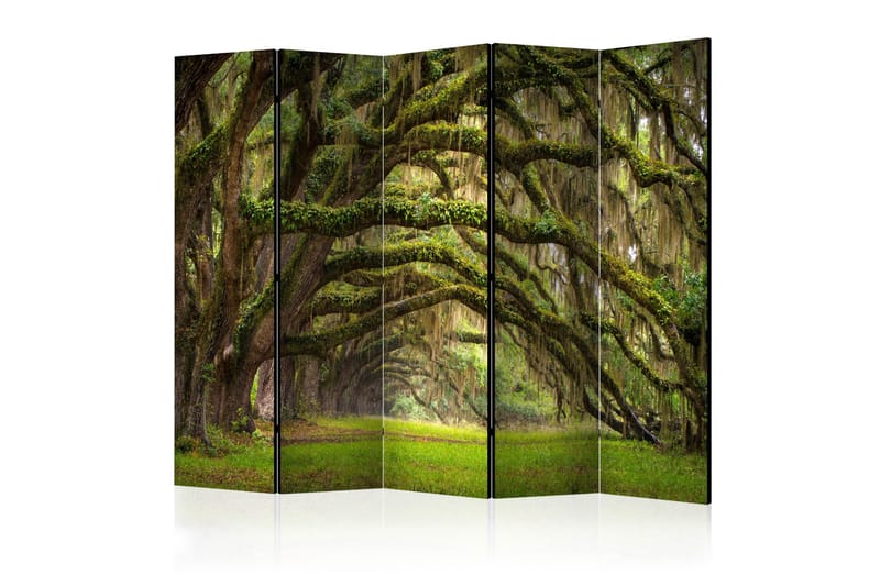 Tilanjakaja Tree embrace II 225x172, Artgeist sp. z o. o.