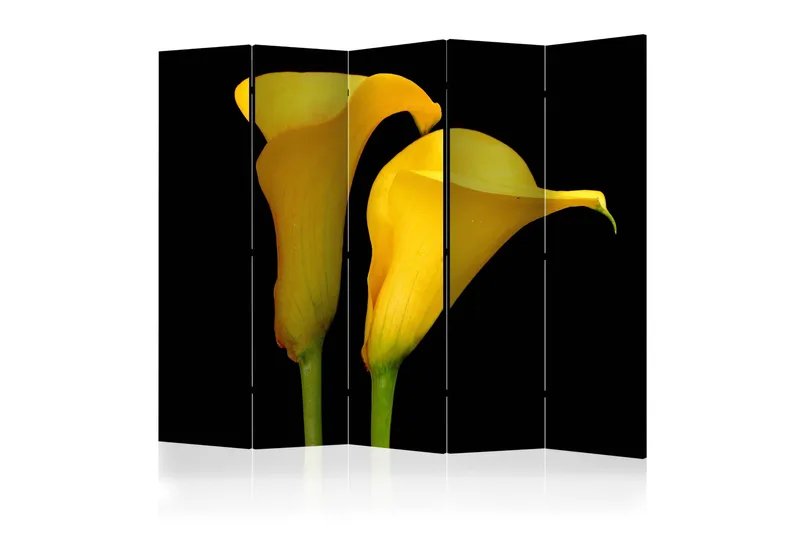 Tilanjakaja Two yellow calla flowers 225x172, Artgeist sp. z o. o.