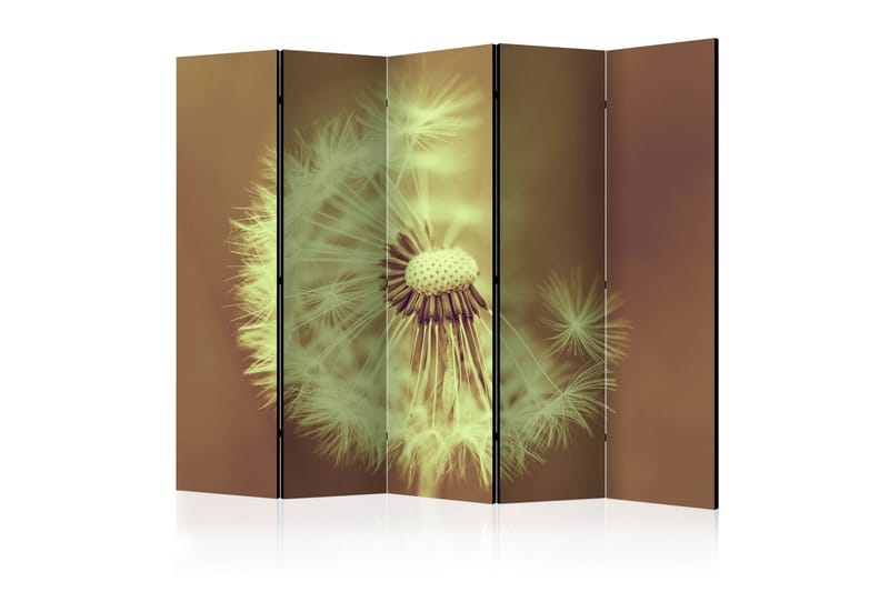 Tilanjakaja Voikukka (seepia) II 225x172, Artgeist sp. z o. o.