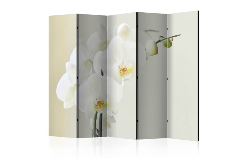 Tilanjakaja White orchid II 225x172 - Artgeist sp. z o. o. - Sisustustuotteet - Tilanjakaja & sermi