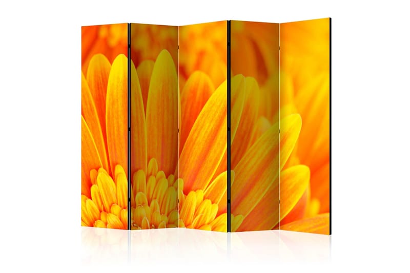 Tilanjakaja Yellow gerbera daisies II 225x172, Artgeist sp. z o. o.