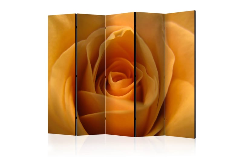 Tilanjakaja Yellow rose – a symbol of friendship II 225x1, Artgeist sp. z o. o.
