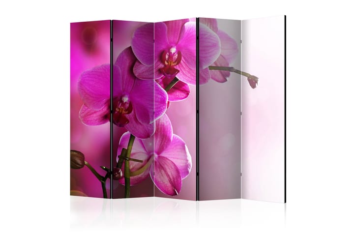 Tilanjakaja Pink orchid II 225x172 - Artgeist sp. z o. o. - Taittuva sermi - Tilanjakaja & sermi