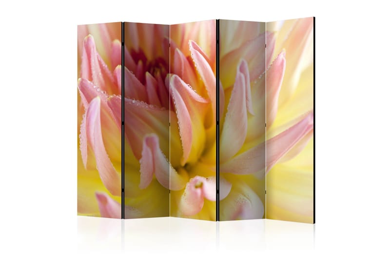 Tilanjakaja Pastel colored dahlia flower 225x172 - Artgeist sp. z o. o. - Sisustustuotteet - Tilanjakaja & sermi