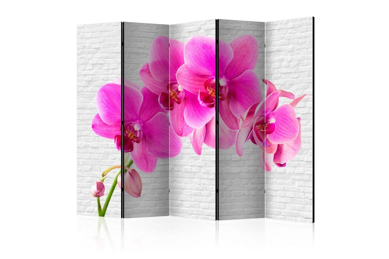 Tilanjakaja Pink excitation II 225x172, Artgeist sp. z o. o.