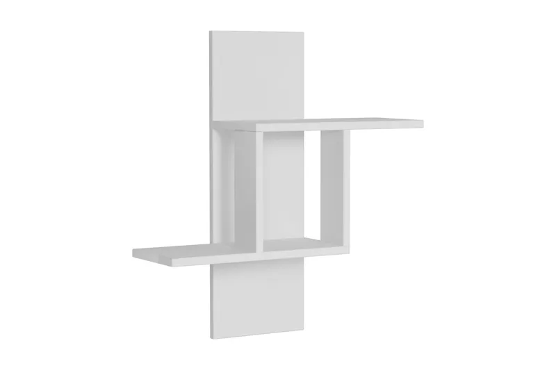 Homitis Seinähylly, undefined