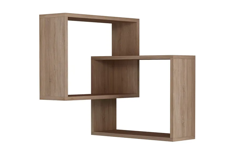 Homitis Seinähylly, undefined