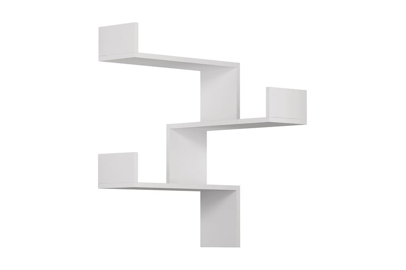 Homitis Seinähylly, undefined