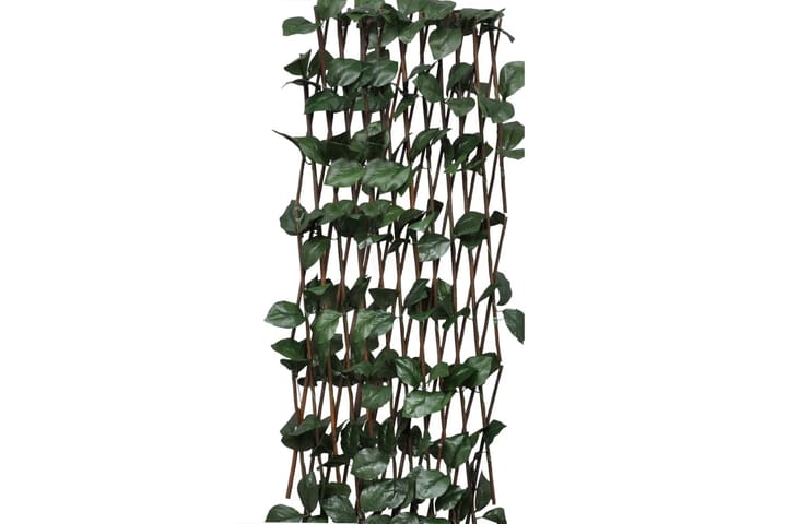 Pajusäleikköaidat 5 kpl keinotekoisilla lehdillä 180x60 cm - Puuaita