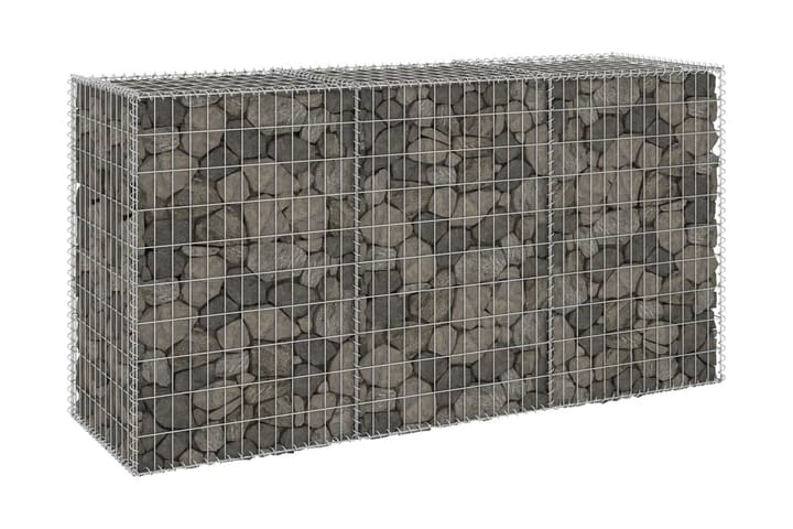 Gabion-kivikori kansilla galvanoitu teräs 200x60x100 cm - Hopea - Kivikori