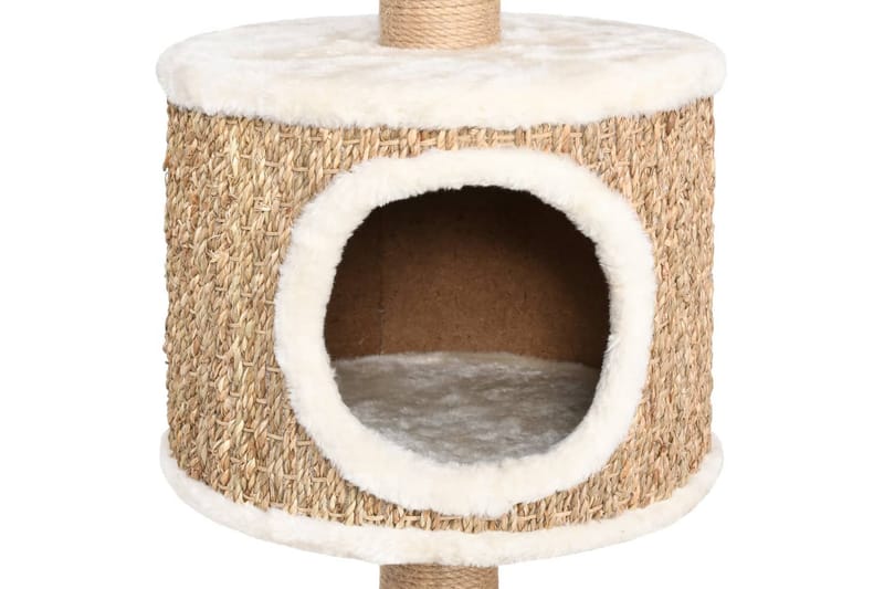 Kissan kiipeilypuu raapimispylväällä 123 cm meriheinä - Beige - Urheilu & vapaa-aika - Eläimille - Kissa - Kissojen kalusteet - Raapimispuu & kiipeilypuu
