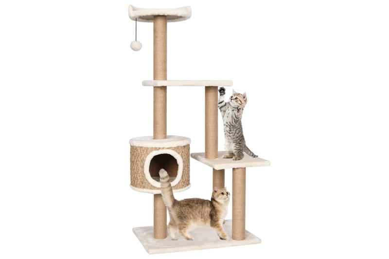 Kissan kiipeilypuu raapimispylväällä 123 cm meriheinä - Beige - Urheilu & vapaa-aika - Eläimille - Kissa - Kissojen kalusteet - Raapimispuu & kiipeilypuu